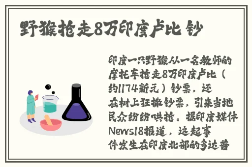 亚洲三级在线中文字幕